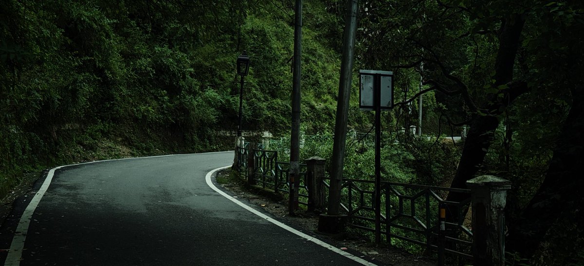 SpecuJesse's tweet photo. Roads like these💚 https://t.co/hfpajkAn91