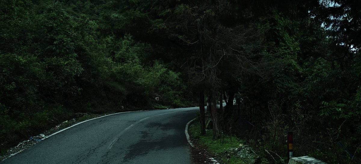 SpecuJesse's tweet photo. Roads like these💚 https://t.co/hfpajkAn91