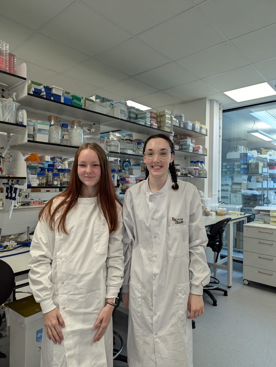 STEM Ambassadors Northern Ireland tweet media