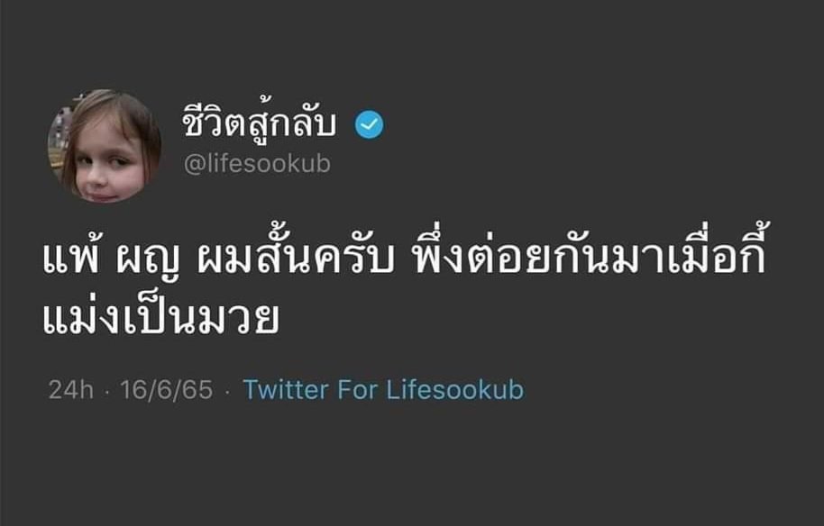 E-CATSSSSS อีแคท อีแมว ชาญสมร tweet media