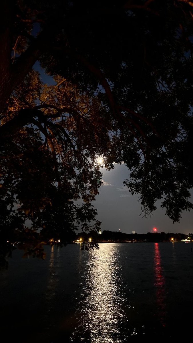 ♬الريـ_م .ıłłı.♪ tweet media