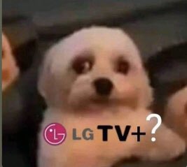𝔼𝕝 ℙ𝕒𝕥𝕠 𝔸𝕝𝕧𝕒𝕣𝕖𝕫®🦆 tweet media