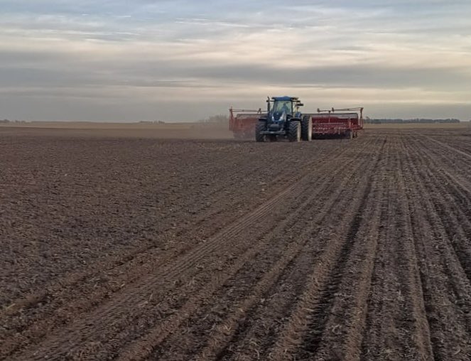 BumperCrop1's tweet photo. No teníamos temperaturas tan bajas durante la siembra de trigo desde el año 1991, si no me equivoco.
Avanza la siembra con la última variedad, SY 211 de @BuckSemillas en Adolfo Gonzales Chaves. https://t.co/0FHIVsKlf4