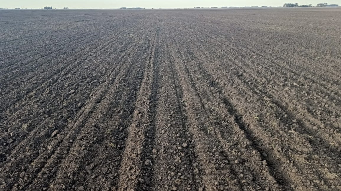 BumperCrop1's tweet photo. No teníamos temperaturas tan bajas durante la siembra de trigo desde el año 1991, si no me equivoco.
Avanza la siembra con la última variedad, SY 211 de @BuckSemillas en Adolfo Gonzales Chaves. https://t.co/0FHIVsKlf4