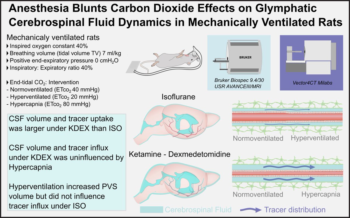 Daniel Persson (@lundefugle) on Twitter photo Our latest paper from the Lilius lab is now out in <a href="/_Anesthesiology/">Anesthesiology</a>!
 doi.org/10.1097/ALN.00…
I'm happy to have been able to co-first author this paper together with <a href="/LohelaT/">LohelaTerhi</a> under the supervision of <a href="/tlilius/">Tuomas Lilius</a>!
In collaboration with people from the <a href="/NedergaardLab/">NedergaardLab</a> Our latest paper from the Lilius lab is now out in <a href="/_Anesthesiology/">Anesthesiology</a>!
 doi.org/10.1097/ALN.00…
I'm happy to have been able to co-first author this paper together with <a href="/LohelaT/">LohelaTerhi</a> under the supervision of <a href="/tlilius/">Tuomas Lilius</a>!
In collaboration with people from the <a href="/NedergaardLab/">NedergaardLab</a>