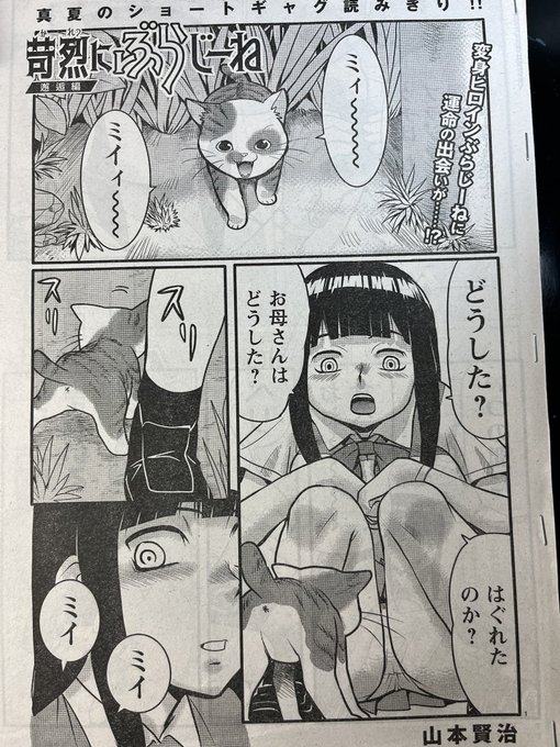 【告知】7月16日発売のヤングチャンピオン烈No.8に『苛烈にぶらじーね』が掲載されます猫ちゃんが出ます 