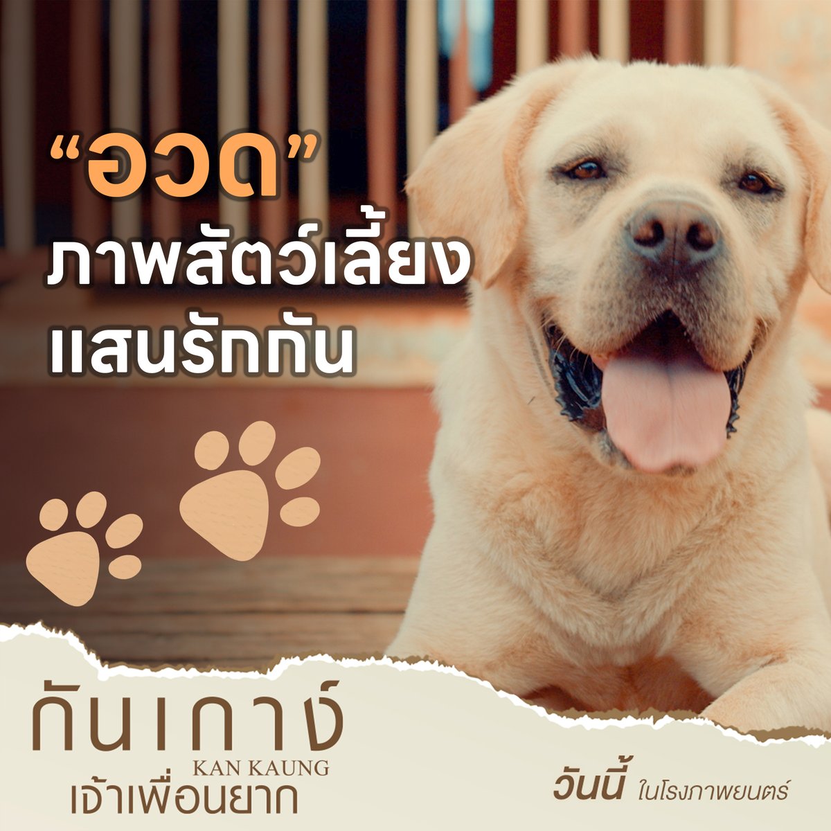 เอาความน่ารักของสัตว์เลี้ยงของคุณ มาอวดกันหน่อย 
แล้วอย่าลืมไปชมความน่ารักของ ‘เจ้ากันเกาง์’🥰

วันนี้ ในโรงภาพยนตร์
#กันเกาง์เจ้าเพื่อนยาก
#KANKAUNG
#ไป่ทาคน #PaingTakhon