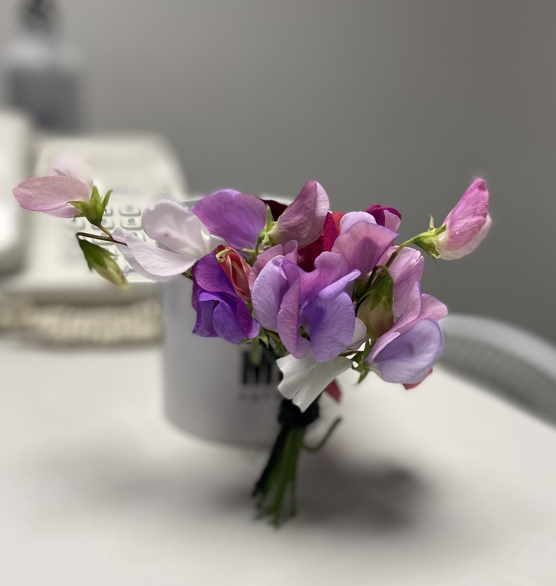 Michael Harper tweet media