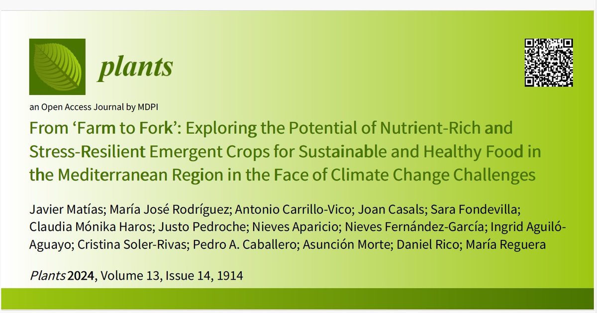 NutriCropSpain's tweet photo. 👏👏👏 We´re proud to share our  @NutriCropSpain  review about the potencial of #emergentcrops!!
👉10.3390/plants13141914
@ITACYL @PROCEREALtech @CEBAS_CSIC @IAS_CSIC @irtacat @CienciasUAM @CICYTEX @ValAnSe_food @UMU @institutograsa @ImdeaAlimenta @unisevilla @AgrotechUPC https://t.co/kXBwTznw1X