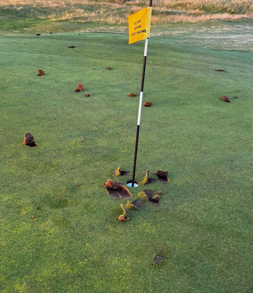 Rick Golfs tweet media