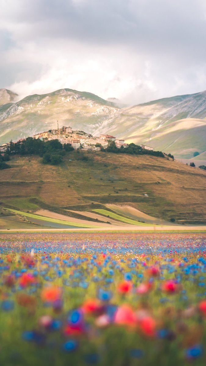 FGomarasca's tweet photo. @NFTGardenWorld ETH editions:
"Ethereal Autumn Bliss" -https://t.co/RN3duWP1xK
"Castelluccio's Rebirth" -https://t.co/WT03FrHBnI https://t.co/VGBNp8sZeI