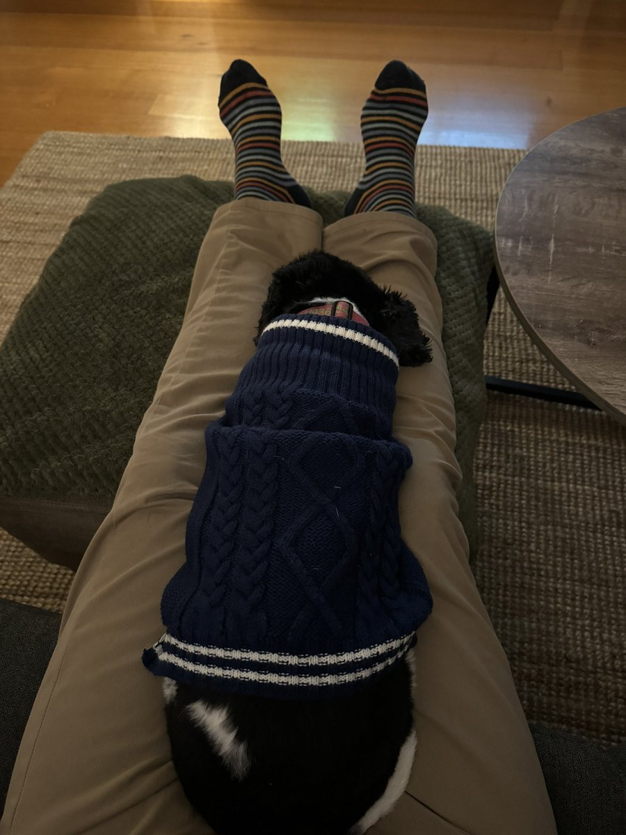 HardcoreCommute's tweet image. Same position but has her natty jumper on tonight as a bit cold #tourdogs #couchpeloton