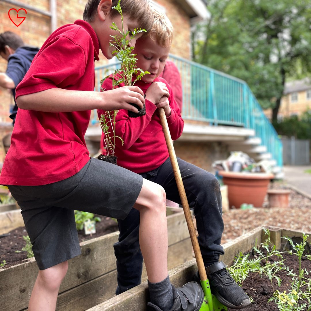 TimeGivers tweet media