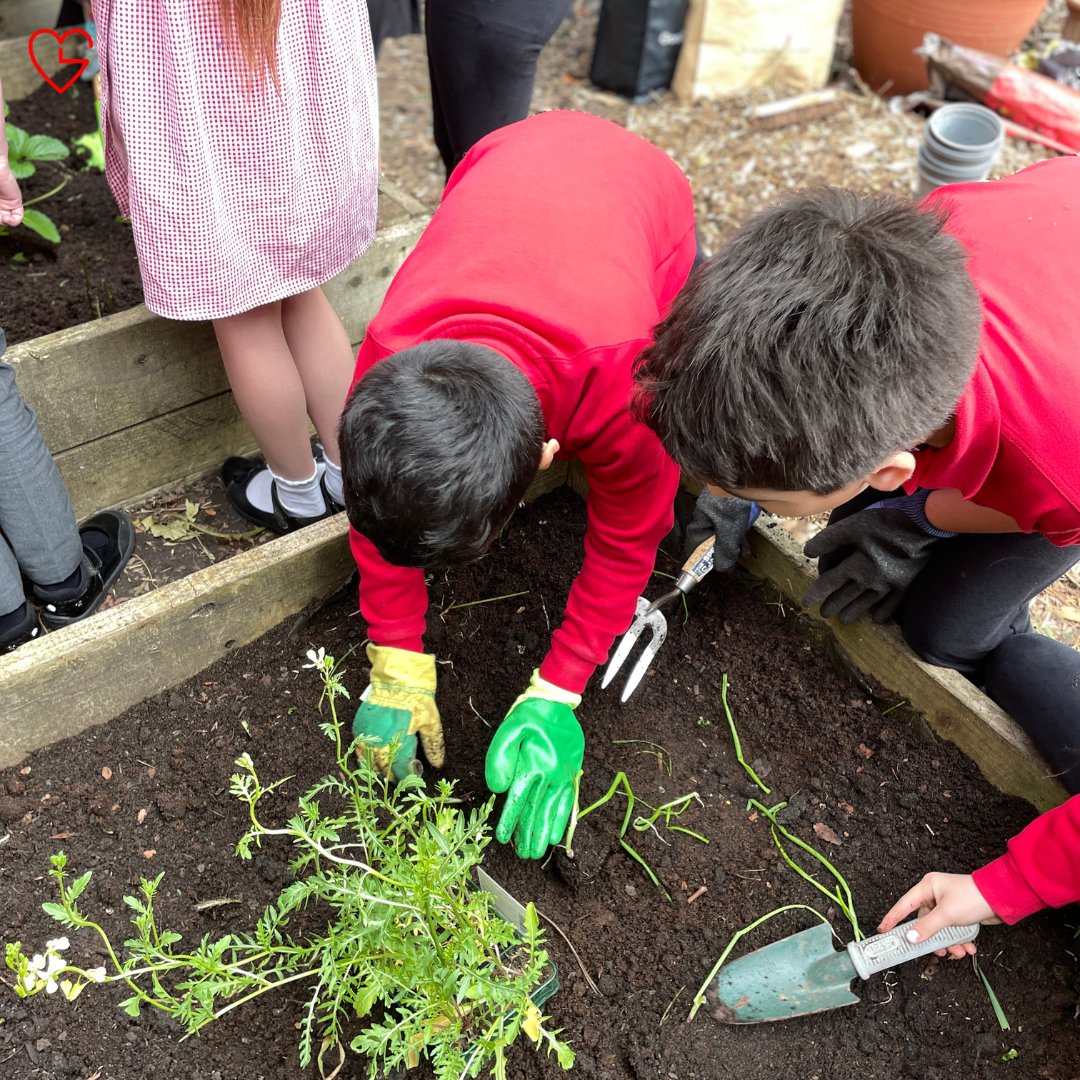 TimeGivers tweet media