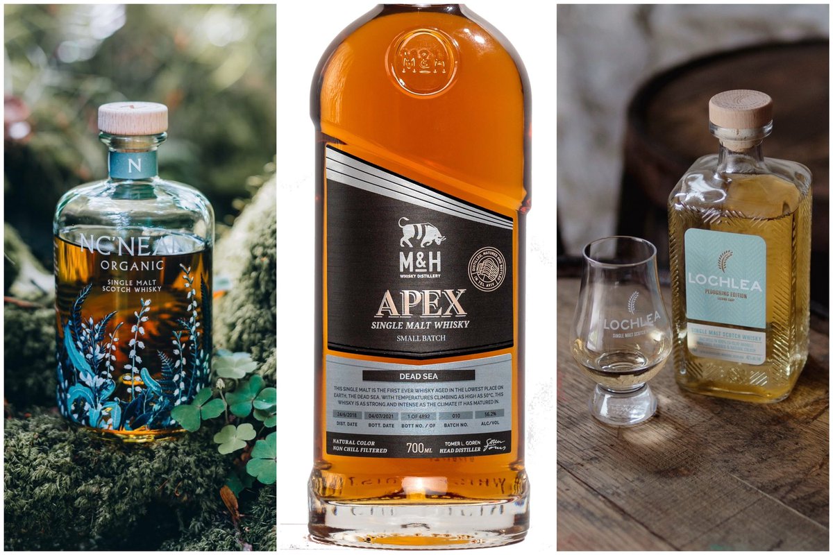 Papà G-LO, Creator of “Spiritual” Vision tweet media