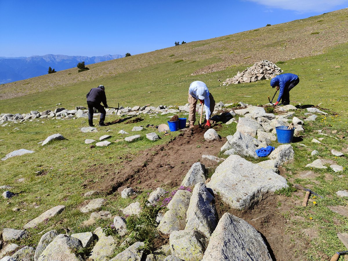 GIAP_ICAC's tweet photo. 💪🏼⛏️5a jornada #excavació al #jaciment Coll de Molleres I (#Meranges) Els treballs avancen a bon ritme. Hem esgotat els nivells arqueològics al pati interior del recinte i estem obrint nova àrea en extensió al sector nord del jaciment. #SomCERCA #arqueologia #muntanya #Pirineus https://t.co/rN5GOd2Cwo