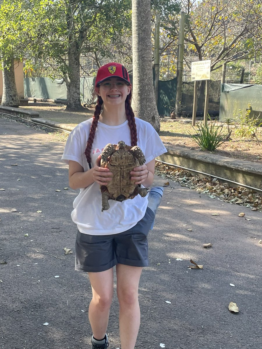 Mme Bowen tweet media