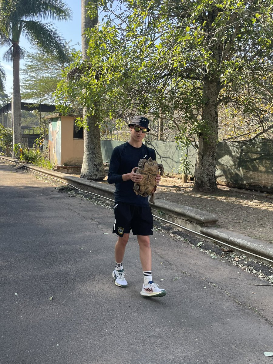 Mme Bowen tweet media