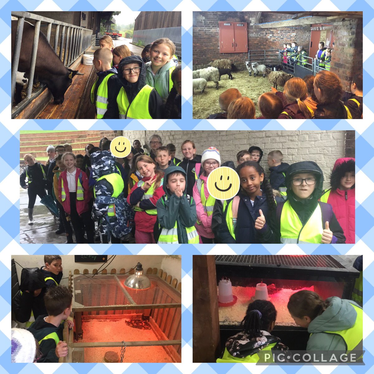 SFCPSY4's tweet photo. On Tuesday we had a very soggy, but exciting trip to Temple Newsam. We had a lovely time seeing the babies on the farm, and looking at different habitats of animals. https://t.co/n2a6x1WUDd