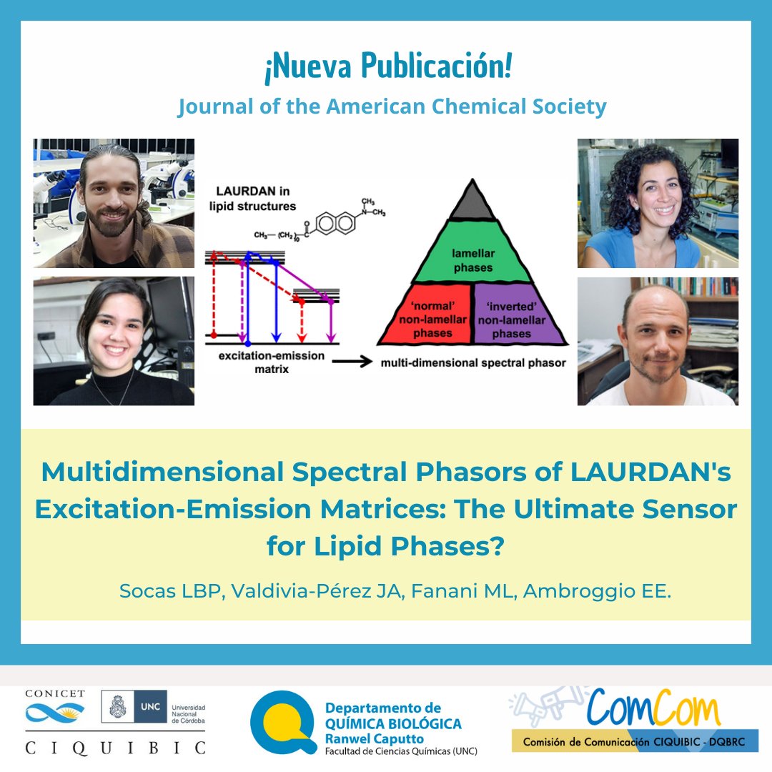 🔬 ¡Nueva publicación en nuestro departamento!

❔El impacto de la diversidad lipídica en la organización lateral de las membranas biológicas sigue siendo un tema de debate, ya que las fases no lamelares de sistemas biológicos se han explorado menos por limitaciones técnicas.