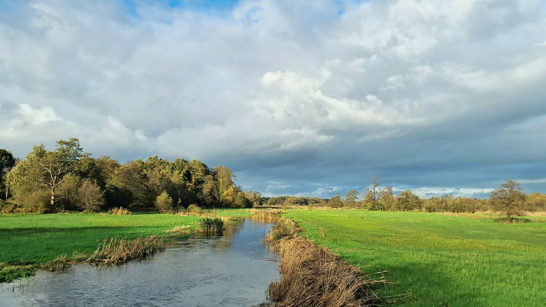 Tijdens deze excursie geef je je oren en neus de kost: geurende bloemen, zingende veldleeuweriken, zoemende insecten en kwakende kikkers. ➡️ rtvd.nl/3Y4kLiV