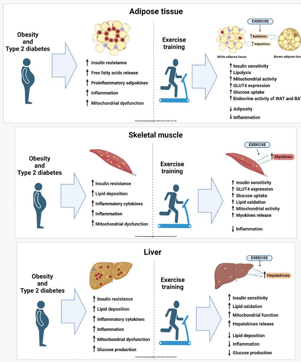 Antonio García-Hermoso tweet media