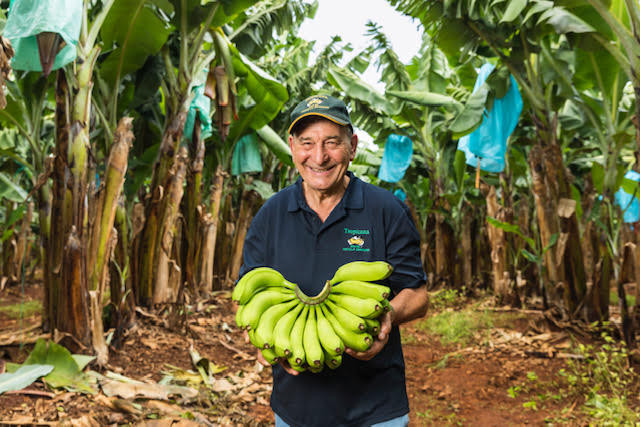 cloudfarms_io's tweet photo. Are you thinking of buying farmland? 
What are the basics of agricultural land? 
How to start investing in farmland? 

https://t.co/TJH1UD2xEJ

#bananafarms #cloudfarms #blockchaininfarming #farminvestment #cryptoinvestment https://t.co/i1kC21RdCl