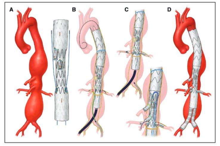Gustavo Oderich tweet media
