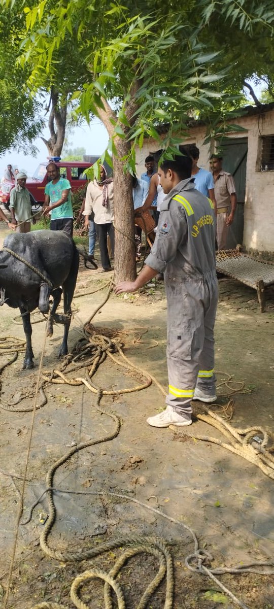 jaunpur_fire's tweet photo. जनपद जौनपुर में दिनांक- 11.07.2024 को ग्राम नाऊपुर थाना केराकत अन्तर्गत कुएं में गिरे सांड को #fsकेराकत यूनिट द्वारा रस्से में बांधकर ग्रामीणों के सहयोग से जीवित अवस्था में बाहर निकला गया।
#upfireservicee
#UPGovt
#dgfire
#UPPolice
#dmjaunpur
#Policejaunpur https://t.co/cZuuGtH4wX