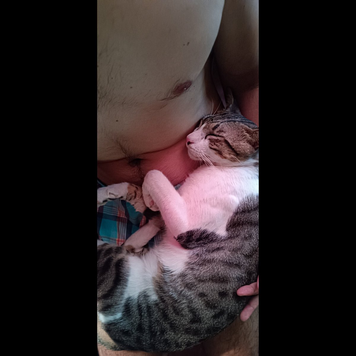 pezzotti_wilson's tweet photo. Los buenos días de #mathy 😻 el bebé gatuno🤗 #miaw #CatsOfTwitter #catlover #cat https://t.co/sGwr6EDMsB
