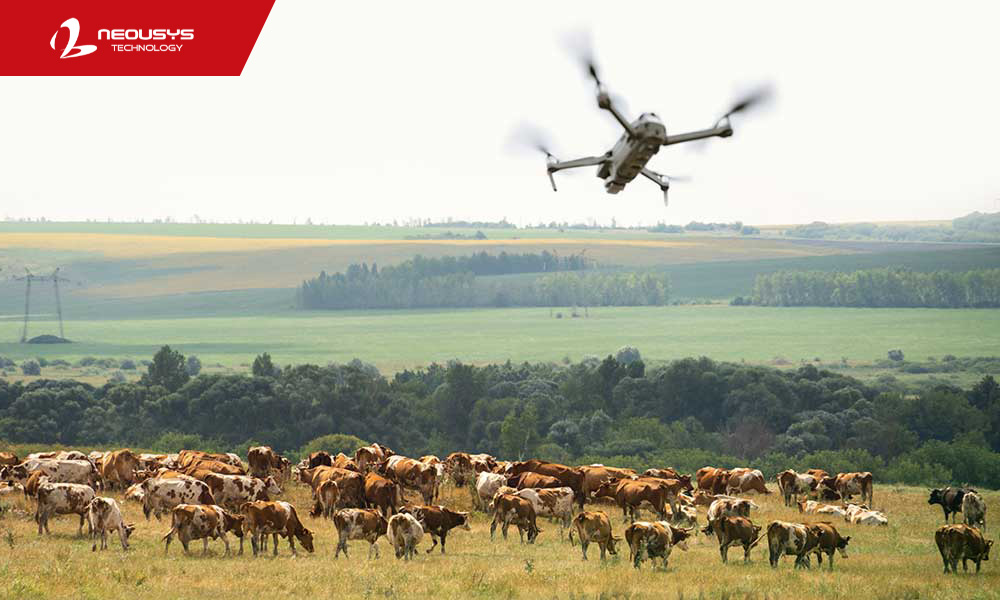 neousys's tweet photo. Drones revolutionize livestock mustering in NZ, Australia, & Britain. Drone-shepherd #AIComputers like Neousys' FLYC_300 #NVIDIAJetson ensure remote herding precision, efficiency, & safety. Learn more: https://t.co/ZZ2QqutAG4 https://t.co/w1MoTEspai