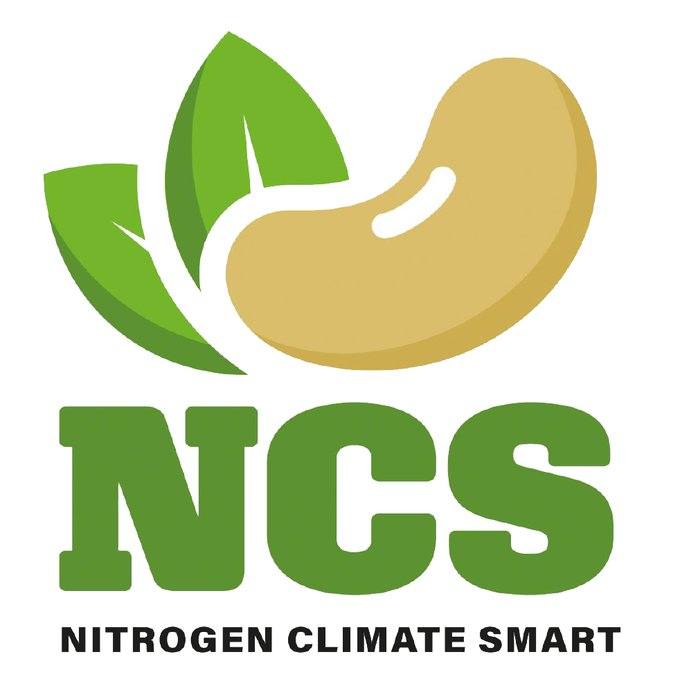 FarmCO2Toolkit's tweet photo. 🫛We're a partner in the Nitrogen Efficient Plants for Climate Smart Arable Cropping Systems (NCS) project to identify ways to get the best from pulse crops &amp; reduce #nitrogen emissions.
Find out more!👇
https://t.co/kQVJp0gdF2 
#farmcarbon @pgroresearch @hayneoak @Pulse_PEP https://t.co/eUxvNGifBJ
