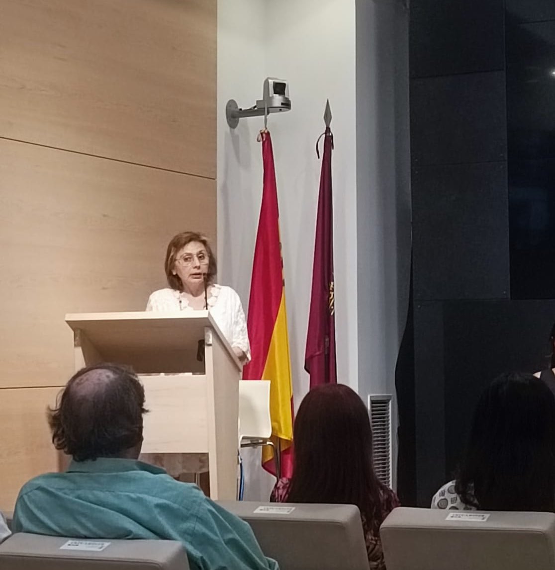 Continúa la compañera Silvia Velázquez Manrique del ICA de Pamplona, detallando las insuficiencias del #TO de #Extranjería #AbogacíaComprometida