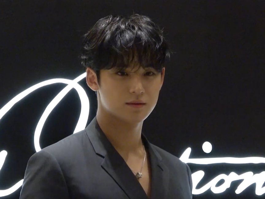 wonubliss's tweet photo. mingyu tonight 🖤 https://t.co/T201WnFdm1