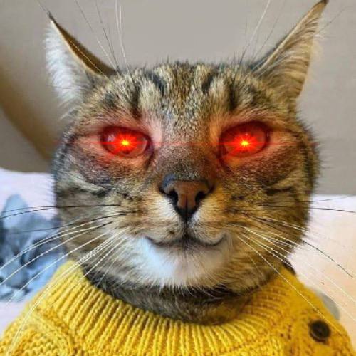 $BEN UpOnly 

<a href="/CTO_Ben/">Ben CTO</a>