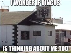 Marcy Banner tweet media