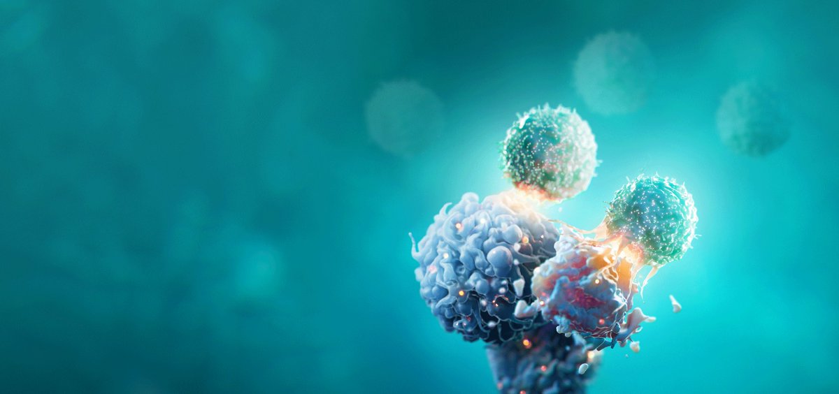 Ten Bridge Communications tweet media