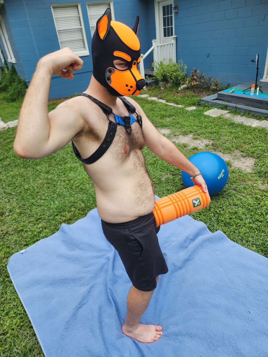 ThePupAtlas's tweet photo. I’m just a puppy who likes to sit on balls https://t.co/3LvScPS9Zm