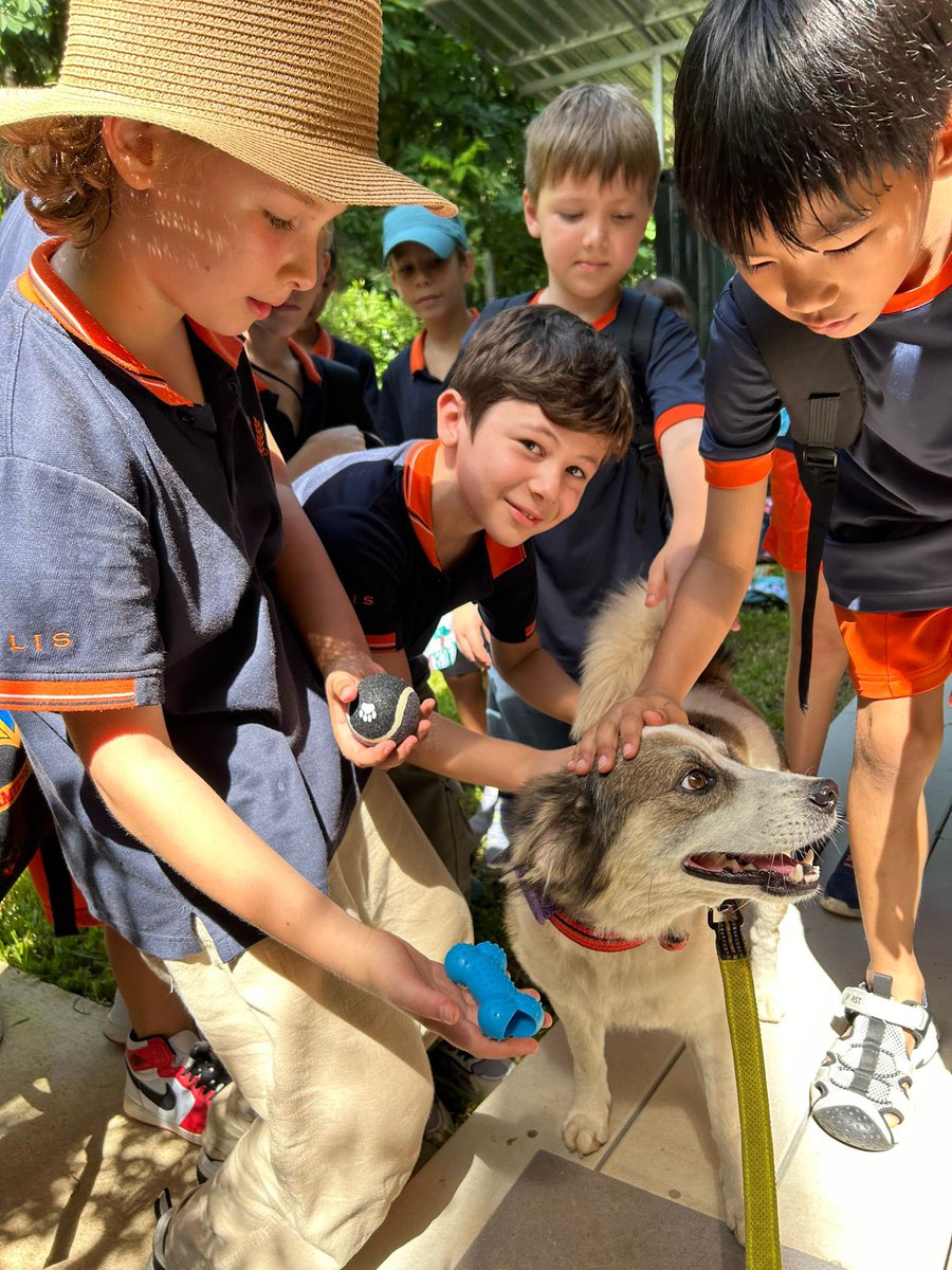 NiallHarbison's tweet image. The street dogs we help in Thailand got to meet school children today at @wearehappydoggo . 

Little Super Mario said it was the best day of his life so far as he had 20 people pet him non stop.

I have a dream around education changing lives of dogs globally (1/7) 🧵