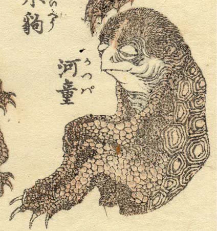 私、葛飾北斎の河童も大好きなんですがめっちゃ可愛くないですか?>RP 