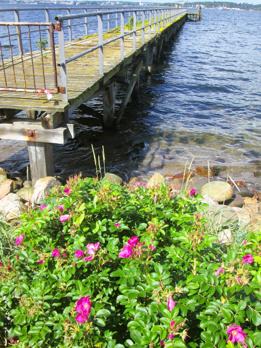 Schönen Nachmittag!