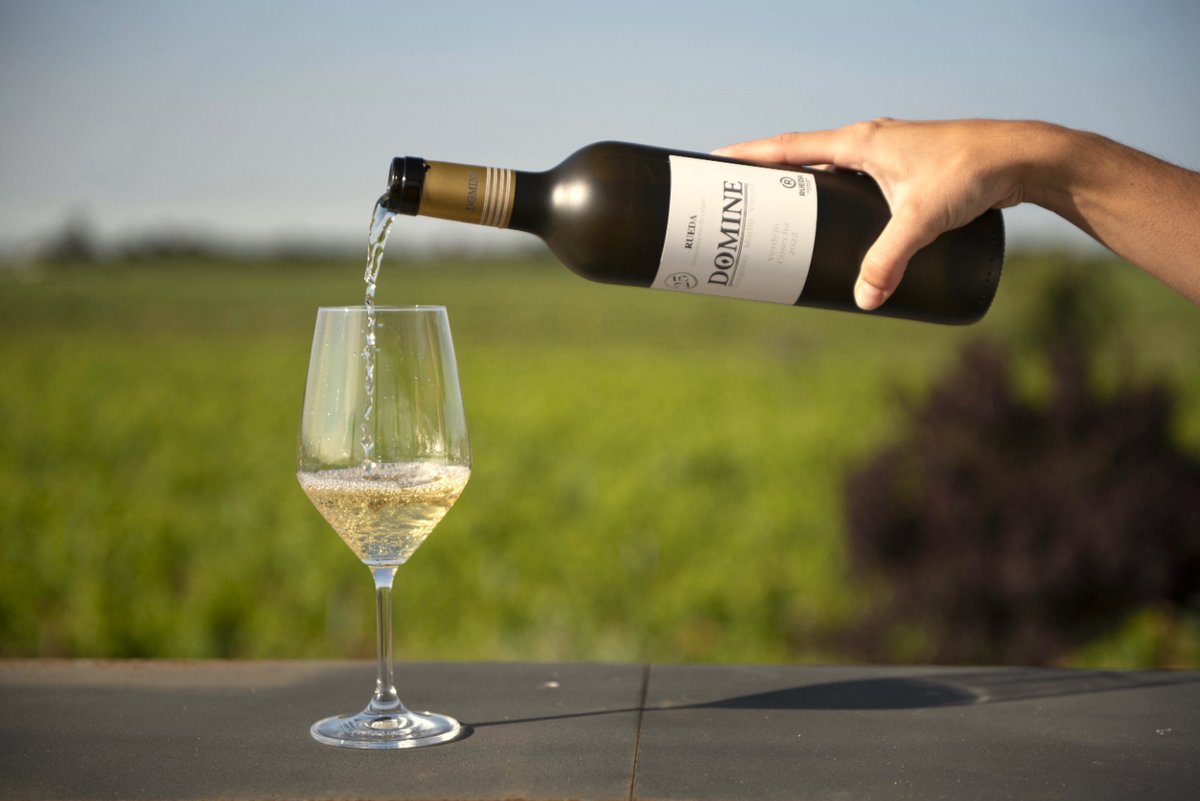 Cada copa de Domine Verdejo es un momento para saborear 🥂🍃