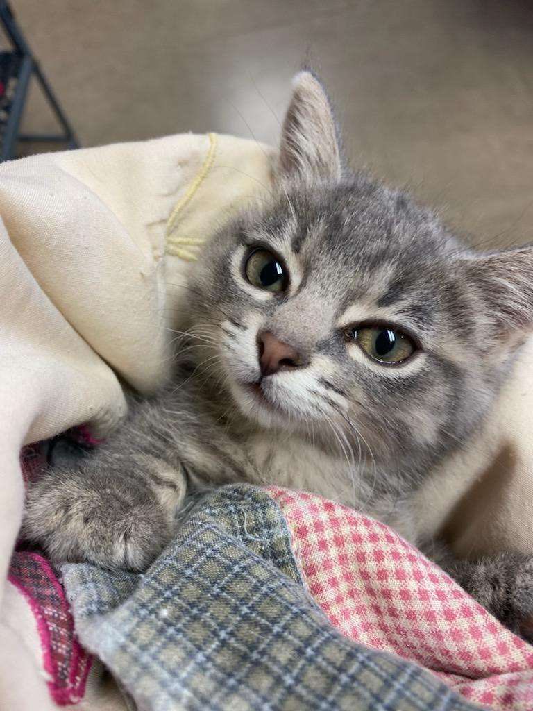 Goodbye LA all my dream came true ✨