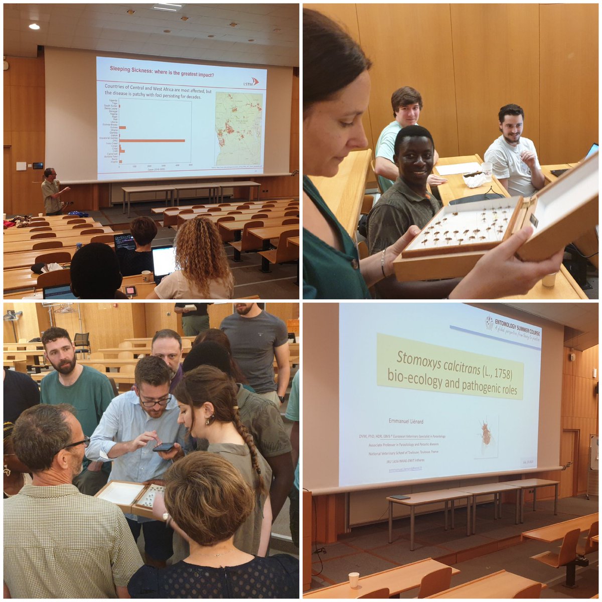 EBouhsira's tweet photo. Day 3 at the #Entomology Summer Course: #Tsetse flies, stable flies and #blackflies with focus on #trypanosomiasis and #onchocercosis 
#OneHealth #Parasitology https://t.co/55FObuLl2R