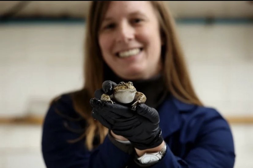 Exactas | UNLP tweet media