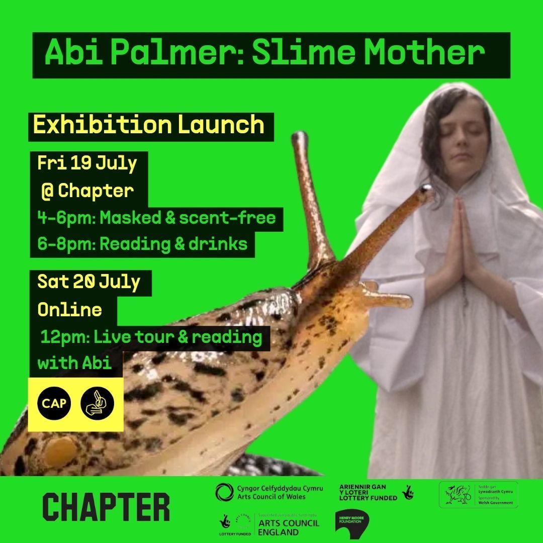 Chapter Gallery tweet media