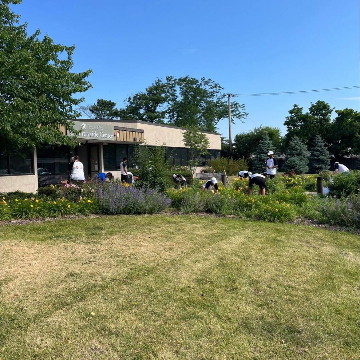 Little City Foundation tweet media