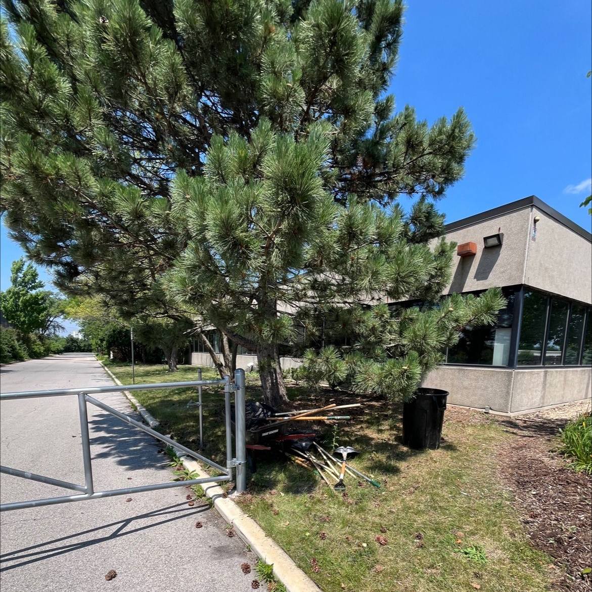 Little City Foundation tweet media