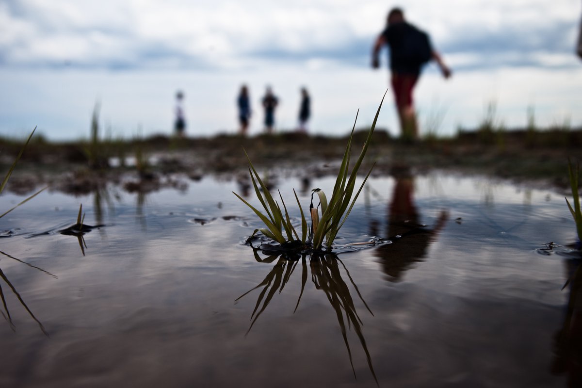 Le Sentier de la Bouette et ses 4 km c’est demain!

Êtes-vous prêts pour cette aventure au travers des herbes salées, de l’embouchure de la Rivière Verte, des roches de l’Île Ronde et avec l’eau froide du chenal? 🌊

Informations ➡️  labouette.com/accueil 

📸 <a href="/robincerutti/">robin cerutti</a>