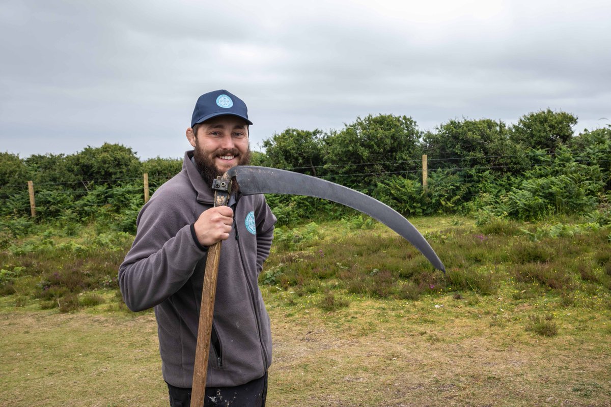 Heritage_Trust's tweet image. Bracken clearance season has well and truly begun for our Rangers with work commencing to remove huge swathes of invasive vegetation from our sites. 

They've been supported by volunteers from local businesses including Poynton Bradbury Architects, @wildanet and @CornishLithium.